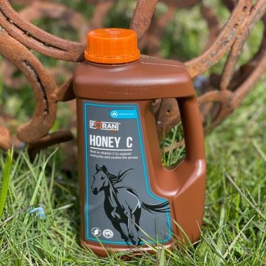 Immunforsvar & Luftveje