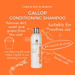 Carr &amp; Day &amp; Martin Gallop Conditioning Shampoo