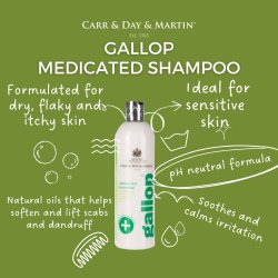 Carr &amp; Day &amp; Martin Gallop Medicated Shampoo