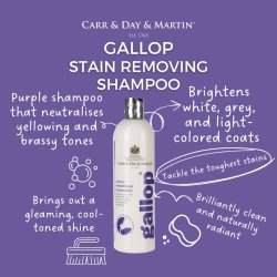 Carr &amp; Day &amp; Martin Gallop Stain Removing Shampoo