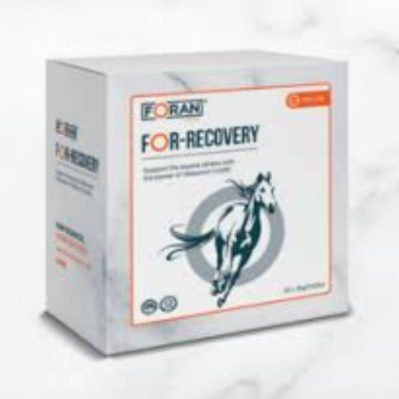 FORAN EQUINE For-Recovery