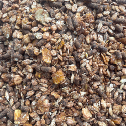 RED MILLS Conditioning Mix 20 kg. 