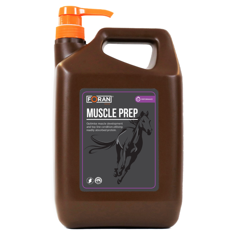 FORAN EQUINE Muscle prep