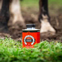 Carr &amp; Day &amp; Martin Cornucrescine Daily Hoof Barrier
