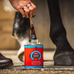 Carr &amp; Day &amp; Martin Cornucrescine Daily Hoof Dressing