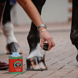 Carr &amp; Day &amp; Martin Cornucrescine Daily Tea Tree Hoof Oil