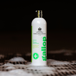 Carr &amp; Day &amp; Martin Gallop Medicated Shampoo