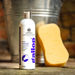 Carr &amp; Day &amp; Martin Gallop Stain Removing Shampoo
