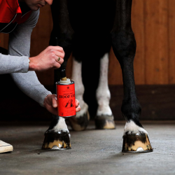 Carr &amp; Day &amp; Martin - Vanner &amp; Prest Hoof Oil 