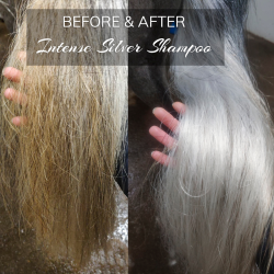 MINERALS BY NORDIC Intense Silver Shampoo