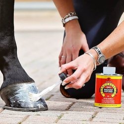 Carr &amp; Day &amp; Martin Cornucrescine Daily Hoof Moisturiser