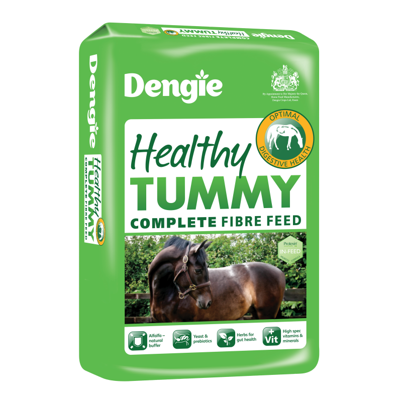 DENGIE Healthy Tummy 15 kg. 